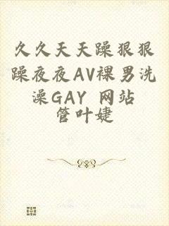 久久天天躁狠狠躁夜夜AV裸男洗澡GAY 网站